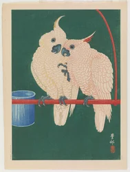 Pair of white cockatoos, c.1930